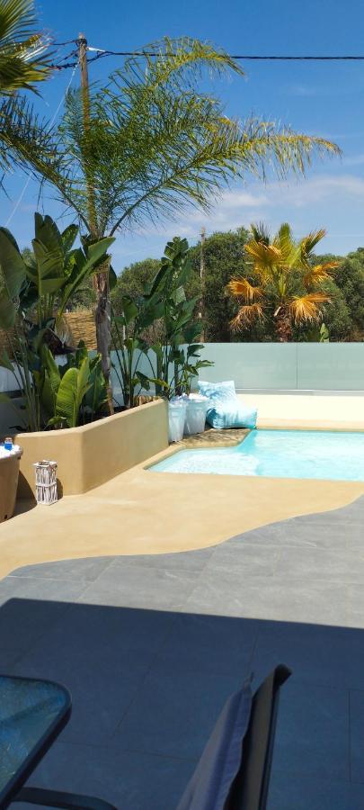 קאטו דרטסו Chania Olive Home מראה חיצוני תמונה